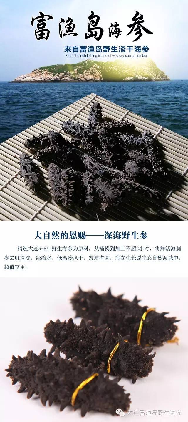 51白菜网总站主页